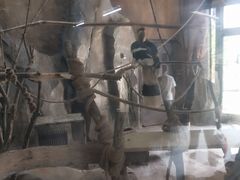 -祥源·阜阳生态乐园