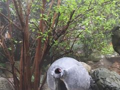 -黄山温泉国际旅游度假区