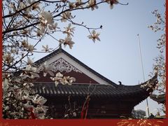 -长春观