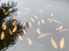 -丽江玉水寨