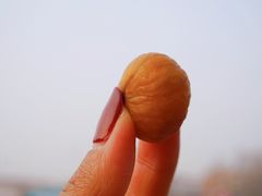 -二斗栗子(西湖道店)