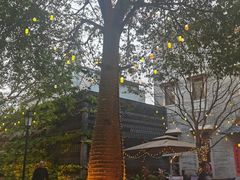 -六花亭居酒屋(永庆坊店)