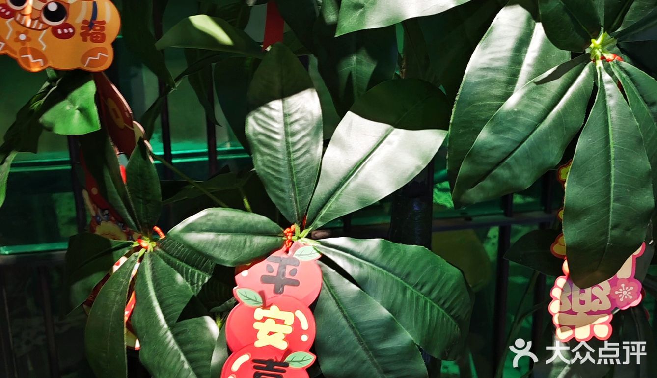 新年聚餐怎么能错过外婆家呢！ 