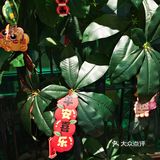 新年聚餐怎么能错过外婆家呢！ 