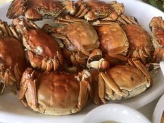 -区海鸡场饭店(石壁店)