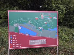 -华西村