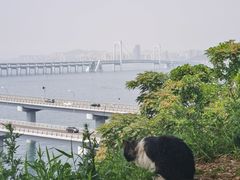 -星海湾跨海大桥