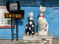 -猫咪博物馆(顶澳仔猫街店)