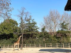 -上海野生动物园