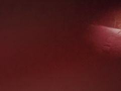 -盛记顺德高佬猪杂粥