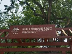 -千佛山风景名胜区
