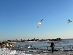 -老虎石海上公园