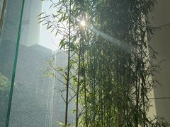 -怡咖啡海鲜自助餐厅(浦东香格里拉店)