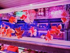 -华声天桥民俗文化园