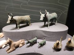 -广西壮族自治区博物馆