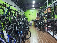 -道路口单车爱瓦士dahon大行