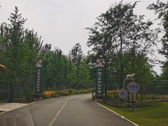 -秦皇岛野生动物园