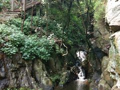 -羚羊峡古栈道森林公园