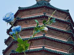 -八大处公园