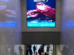 -盒马鲜生(财富中心店)