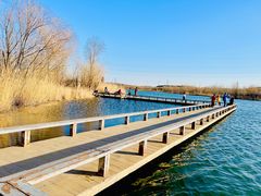 -永定河休闲森林公园