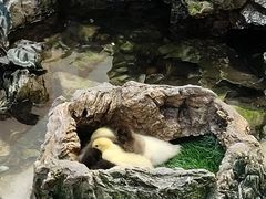 -赛格国际购物中心(小寨店)