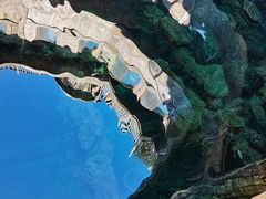 -长鹿旅游休博园