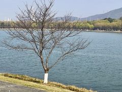 -羊山湖公园