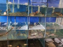 -天天渔港海鲜酒家(石浦玉泉路店)