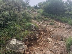 -阳台山自然风景区