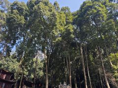 -青城山
