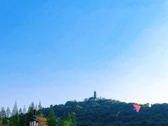 -苏州上方山国家森林公园