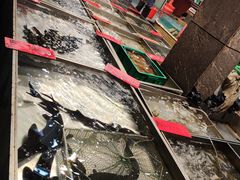 -湛江渔港·大排档(乐园路总店)