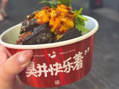 -黑色经典臭豆腐·湖南特产(坡子街店)