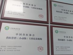 -中国农业大学动物医院