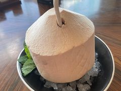 冰爽椰青-白天鹅宾馆·月兔吧