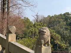 -上海醉白池公园