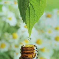 -东方美美容SPA会所