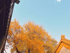 -南锣鼓巷