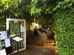-Fern Forest Cafe