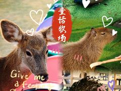 -盈香心动乐园