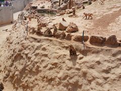 -石家庄市动物园