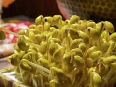 井水黄豆芽-巴奴毛肚火锅(二七万达店)