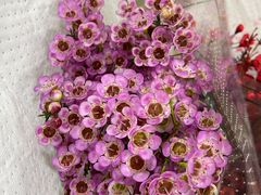 -循礼门鲜花花市(武汉循礼门店)