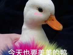 -新元素(三里屯太古里南区)