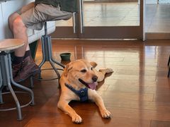 -SAANCI山池咖啡(海上世界文化艺术中心店)