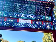 -香山公园