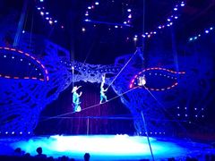 -珠海横琴长隆《卡卡虎奇遇记》