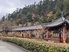 -冶父山国家森林公园