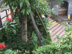 -楠柏弯休闲山庄(梨花溪店)